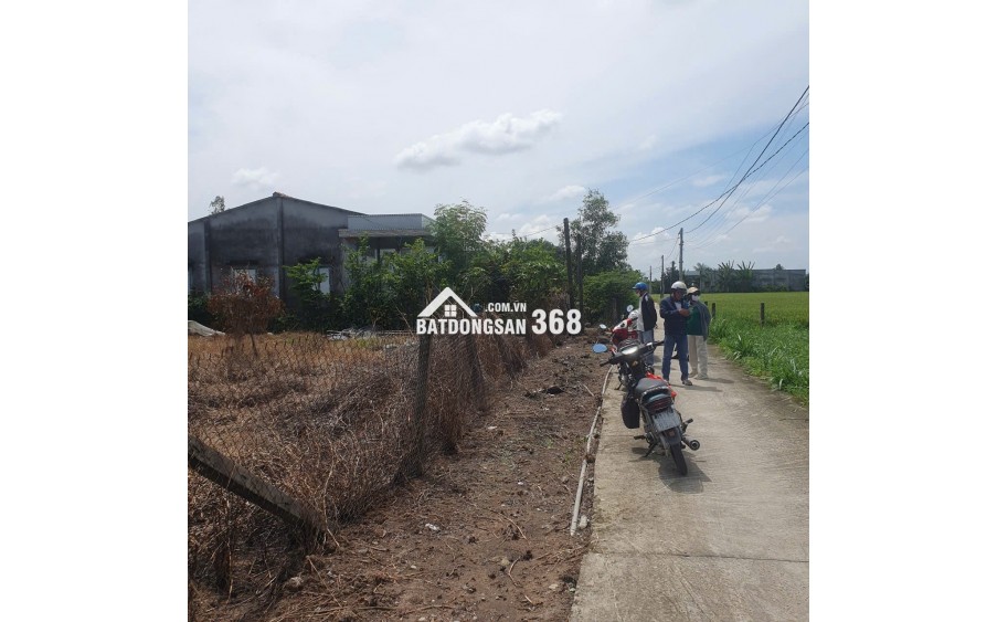 Bán lô đất lúa xã Tân Trụ giá 5,2 tỷ