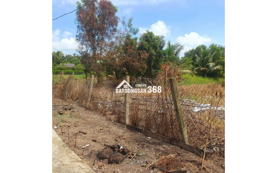 Bán lô đất lúa xã Tân Trụ giá 5,2 tỷ