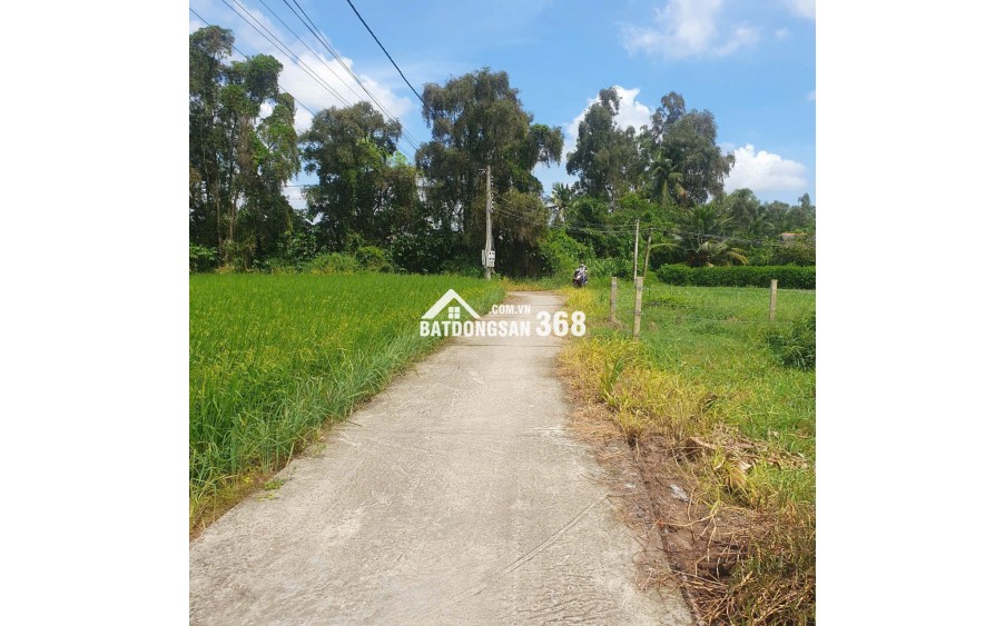 Bán lô đất lúa xã Tân Trụ giá 5,2 tỷ