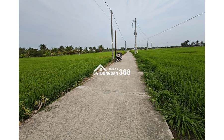 Bán gấp lô đất lúa gần trục động lực giá 1,2 tỷ