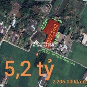 Bán lô đất lúa xã Tân Trụ giá 5,2 tỷ