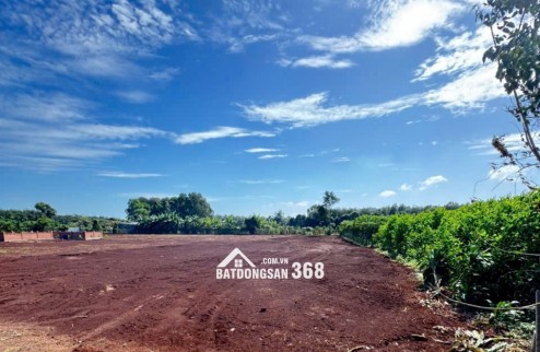 cần bán gấp gần 1 xào đất Long Phước, TP Bà Rịa nay phường Tam Long