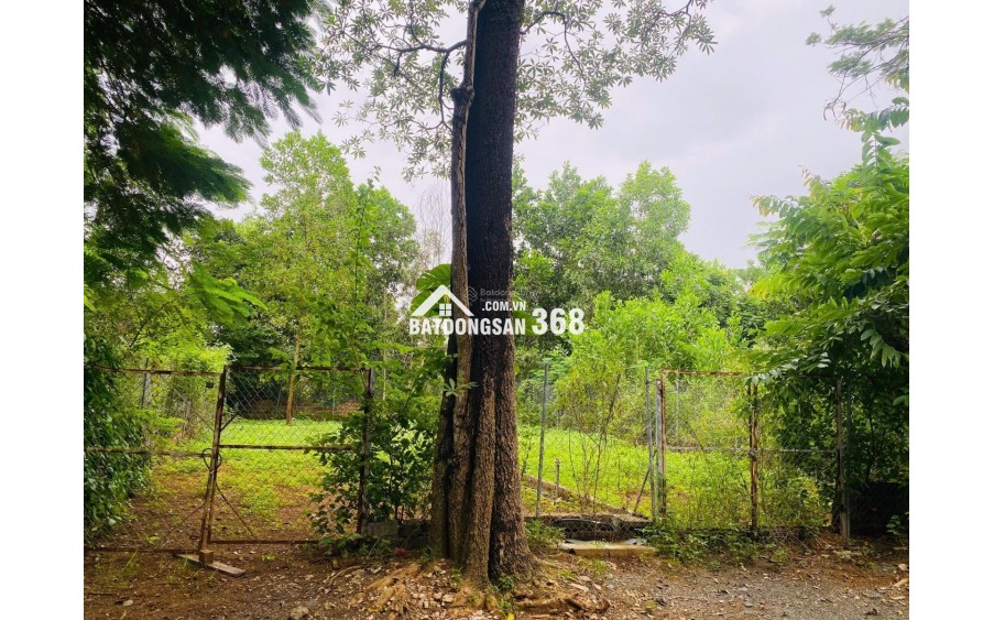 CHÍNH CHỦ BÁN ĐẤT HÒA LẠC, QUỐC OAI 116M², NGÃ 3, SÁT ĐƯỜNG TO XE BUÝT, GẦN METRO 5 VỪA KHỞI CÔNG