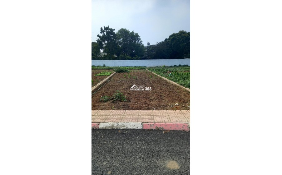 Bán đất nền phân lô Hoà Lạc, ĐH Quốc Gia Hà Nội, 100M2 MT 5m, Đầu tư tiềm năng, giá chỉ từ 3.x tỷ