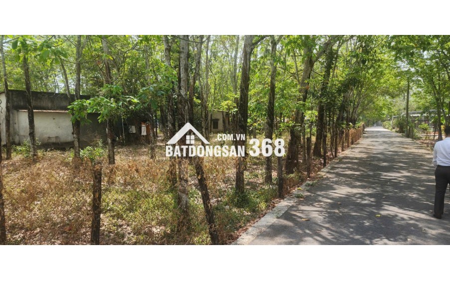 CẦN BÁN QUỸ ĐẤT LỚN 3 MẶT TIỀN NGAY SAU LƯNG CHỢ ĐỊNH HIỆP – DẦU TIẾNG