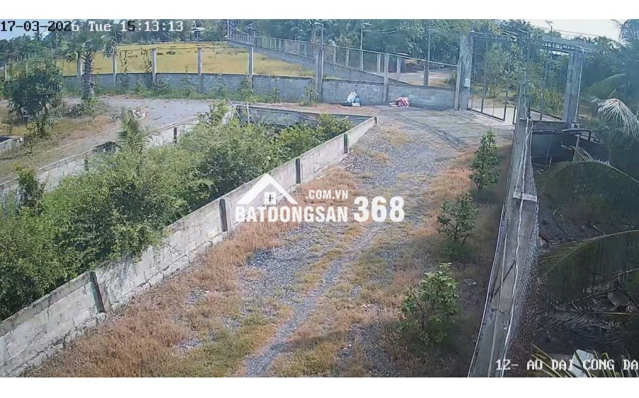 Bán Nhà Vườn 12.000m2, Giá 31 Tỷ, Kênh 12, Xã Lê Minh Xuân Bình Chánh TPHCM