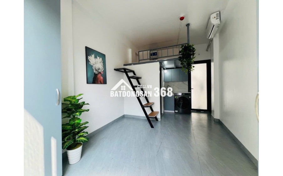  BÁN SIÊU PHẨM CCMN HOÀNG MAI - GÀ ĐẺ TRỨNG VÀNG 1 TỶ/NĂM 