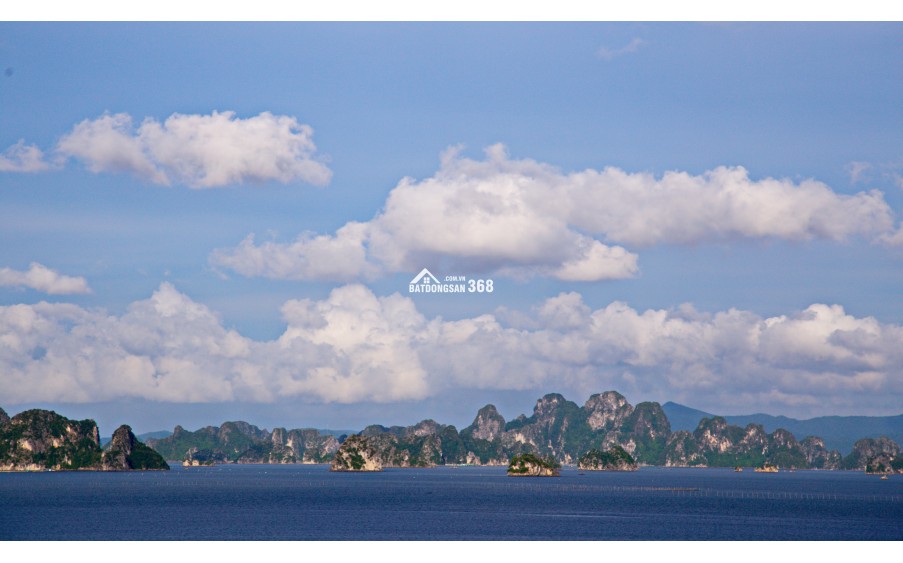 NHỈNH 2,5 TỶ SỞ HỮU NGAY CĂN HỘ VIEW VỊNH BÁI TỬ LONG, CĐT CAM KẾT VẬN HÀNH DOANH THU LÊN TỚI 300TR/NĂM