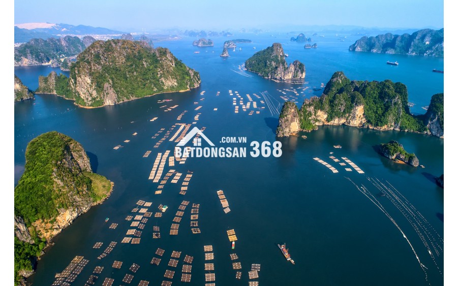 [VÂN ĐỒN] – ĐÓN SÓNG VỊNH BÁI TỬ LONG: ĐẦU TƯ VÀO TRẠM DỪNG CHÂN CỦA NHỮNG TÂM HỒN XÊ DỊCH