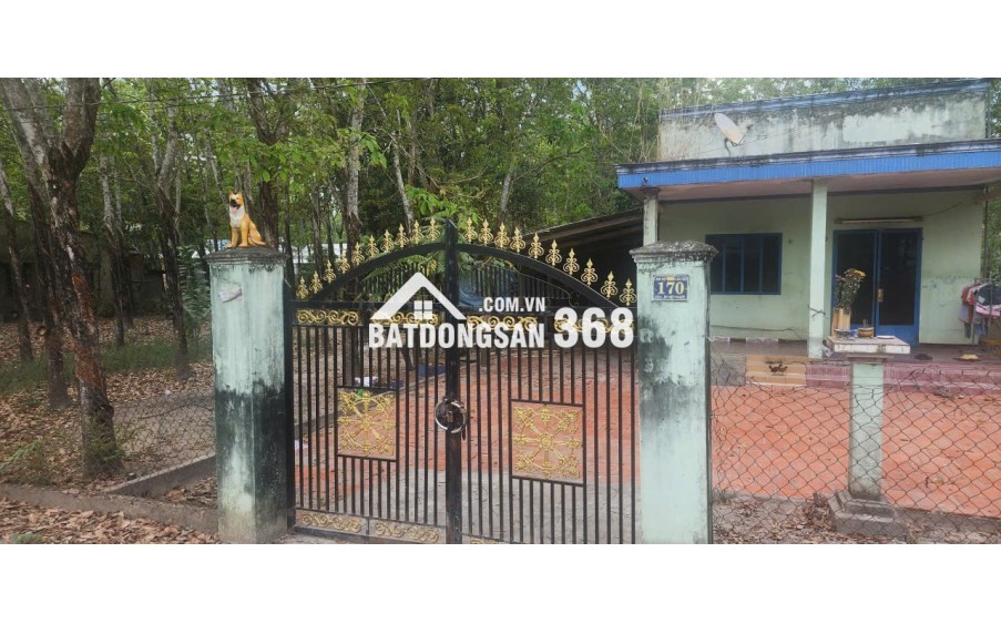 CẦN BÁN QUỸ ĐẤT LỚN 3 MẶT TIỀN NGAY SAU LƯNG CHỢ ĐỊNH HIỆP – DẦU TIẾNG