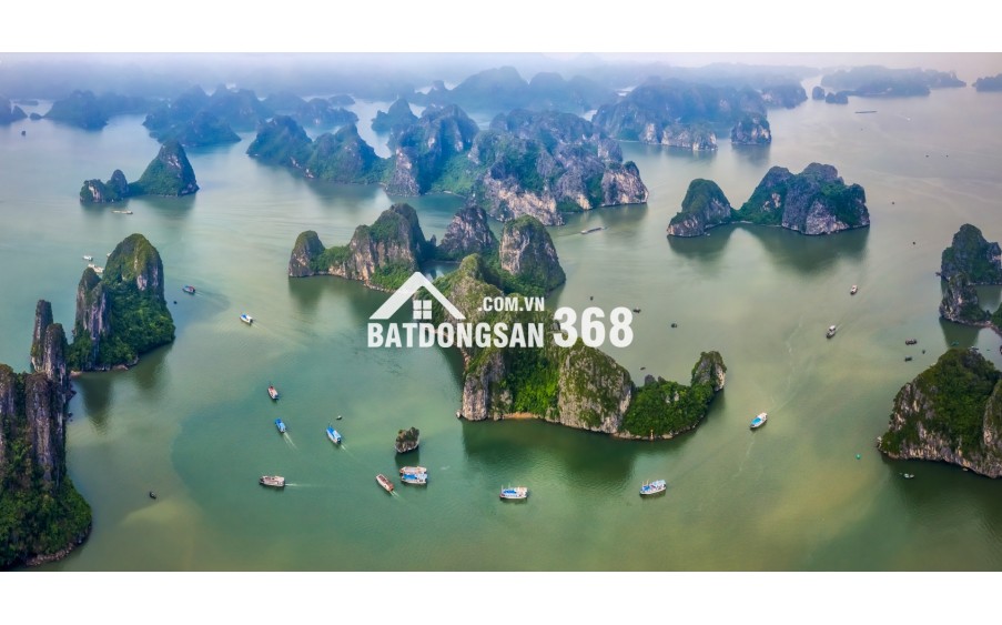 [VÂN ĐỒN] – ĐÓN SÓNG VỊNH BÁI TỬ LONG: ĐẦU TƯ VÀO TRẠM DỪNG CHÂN CỦA NHỮNG TÂM HỒN XÊ DỊCH