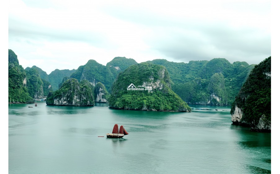 DUY NHẤT 1 STUDIO SUẤT NGOẠI GIAO VIEW VỊNH BIỂN VÂN ĐỒN,  DÒNG TIỀN LÊN TỚI 200TR/NĂM