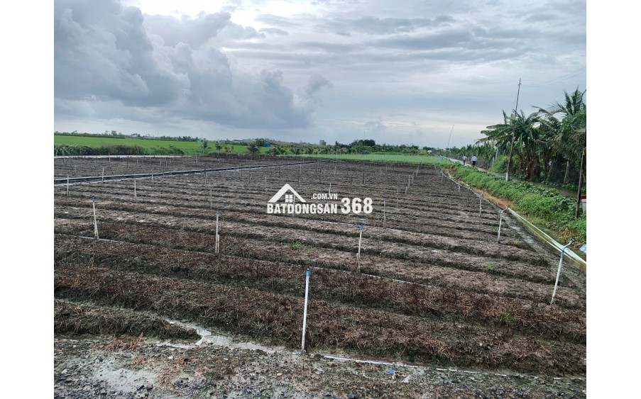 Bán gấp đất nền thổ cư Bà Lẫy Sổ sẵn công chứng ngay