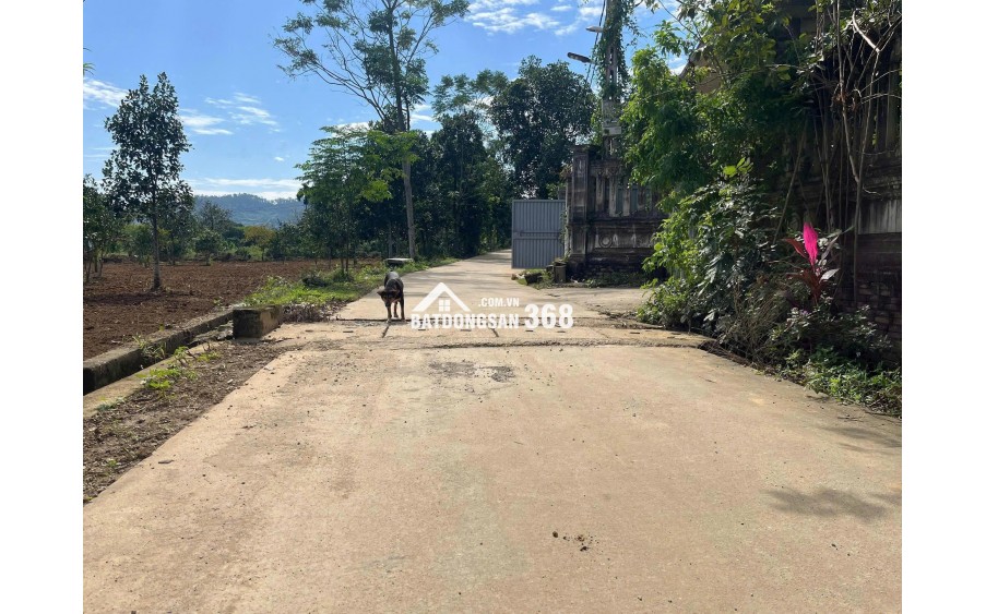 Đất nghỉ dưỡng tài chính nhỏ nhất Vân Hòa (Yên Bài), Hà Nội.