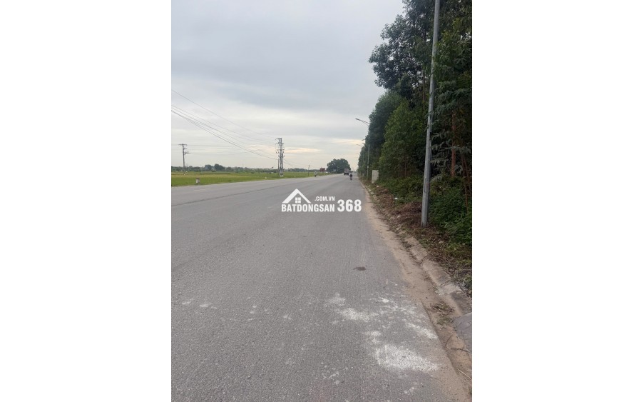 Bán đất đấu giá Xuân Phú, Yên Dũng, Bắc Giang: 90m2 - MT 5m. Đường 32m - giá 3,9 tỷ