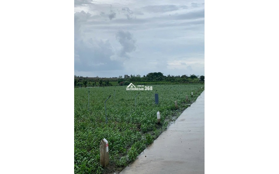 Bán gấp đất nền thổ cư Bà Lẫy Sổ sẵn công chứng ngay