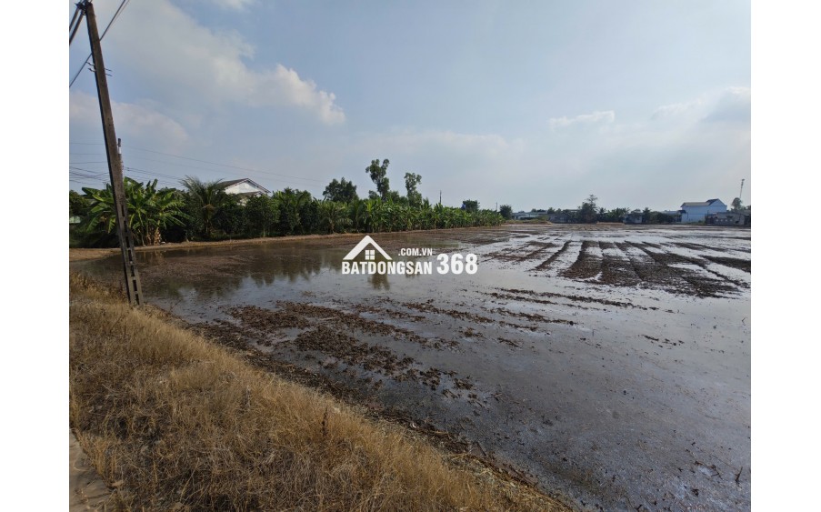 Bán gấp lô đất lúa chuyển thổ đường Vành Đai Tân An giá 22 tỷ