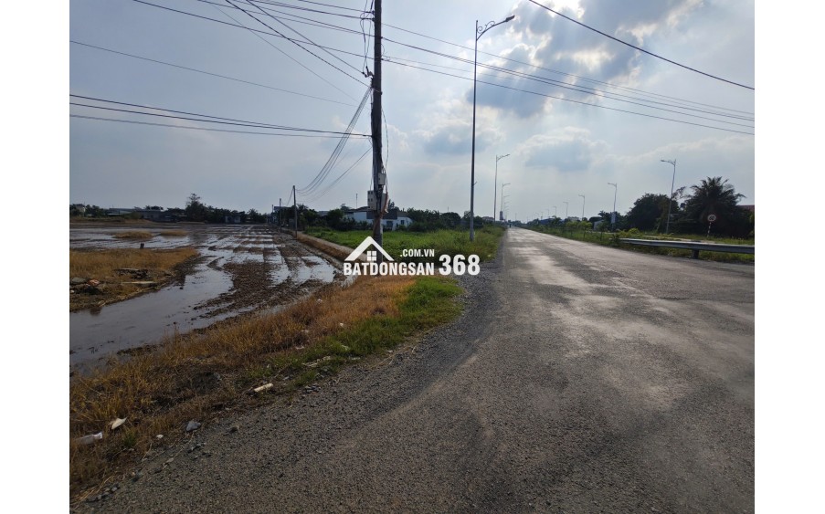 Bán gấp lô đất lúa chuyển thổ đường Vành Đai Tân An giá 22 tỷ