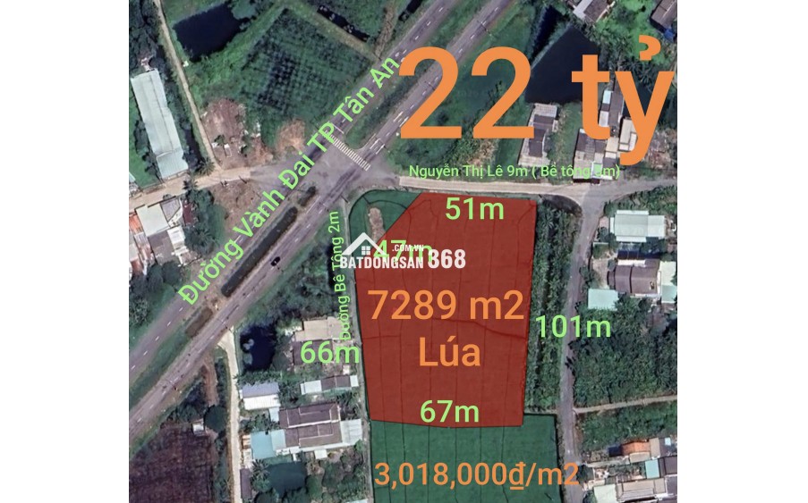 Bán gấp lô đất lúa chuyển thổ đường Vành Đai Tân An giá 22 tỷ