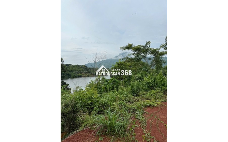 CẦN BÁN ĐẤT VIEW HỒ – VIEW NÚI - VIEW SĂN MÂY SIÊU ĐẸP Tại PHƯỚC BÌNH – ĐỒNG NAI