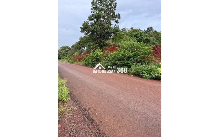 CẦN BÁN ĐẤT VIEW HỒ – VIEW NÚI - VIEW SĂN MÂY SIÊU ĐẸP Tại PHƯỚC BÌNH – ĐỒNG NAI