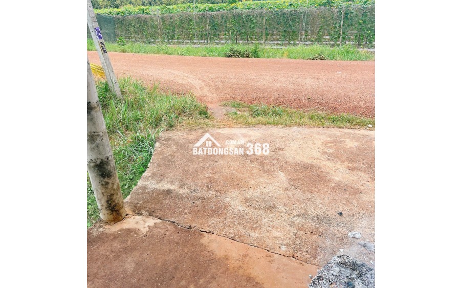 CHÍNH CHỦ Cần Bán Đất Có Nhà Tại Đường 20, Ấp Phước Lộc A ,xã Phước Minh, Dương Minh Châu, Tây Ninh.