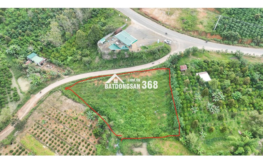 7x30m2 có 195m2 thổ cư mt đường bê tông Di Linh 450tr sổ riêng