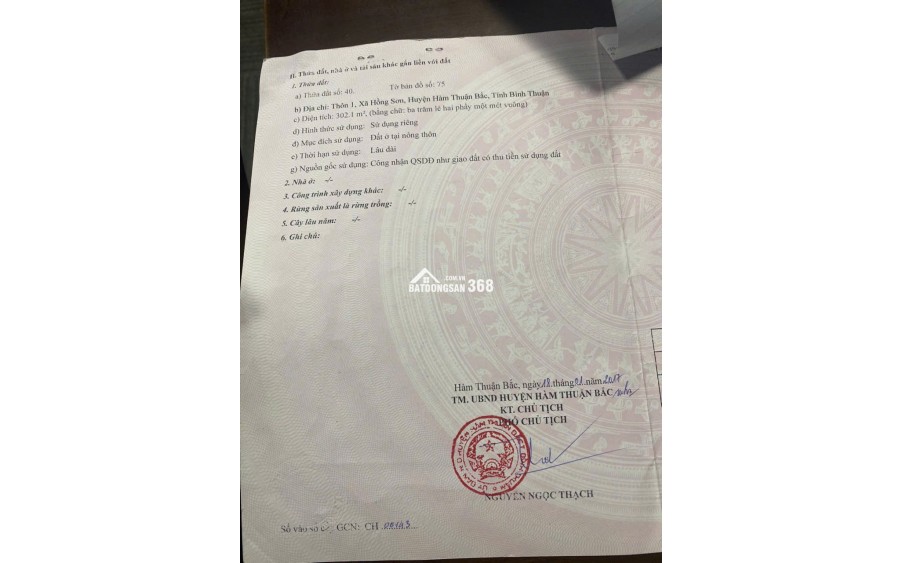 BÁN NHÀ 300M2 TẠI HỒNG SƠN, HÀM THUẬN BẮC, BÌNH THUẬN - 1.5 TỶ