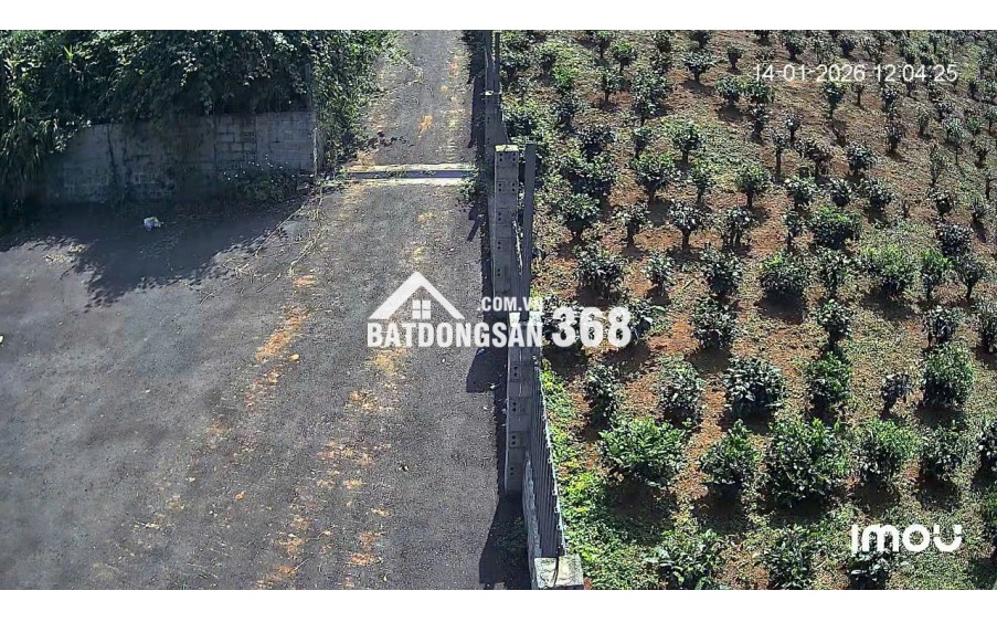 1.200m2 sẵn 400m2 thổ cư - hẻm lê phụng hiểu, lộc châu, bảo lộc