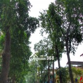 LÔ GÓC 3 THOÁNG_THANG MÁY_43M2_6 NGỦ_TRUNG TÂM LÒ ĐÚC – HAI BÀ TRƯNG_CHỈ 12 TỶ