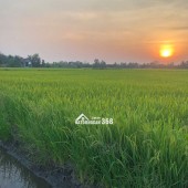 Bán đất nông nghiệp 5311m2 tại đường Bà Miêu, Tân Nhựt, Bình Chánh