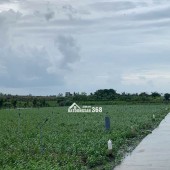 Bán gấp đất nền thổ cư Bà Lẫy Sổ sẵn công chứng ngay