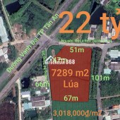 Bán gấp lô đất lúa chuyển thổ đường Vành Đai Tân An giá 22 tỷ
