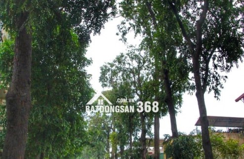 LÔ GÓC 3 THOÁNG_THANG MÁY_43M2_6 NGỦ_TRUNG TÂM LÒ ĐÚC – HAI BÀ TRƯNG_CHỈ 12 TỶ