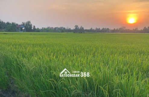 Bán đất nông nghiệp 5311m2 tại đường Bà Miêu, Tân Nhựt, Bình Chánh