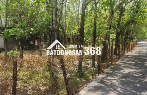 CẦN BÁN QUỸ ĐẤT LỚN 3 MẶT TIỀN NGAY SAU LƯNG CHỢ ĐỊNH HIỆP – DẦU TIẾNG