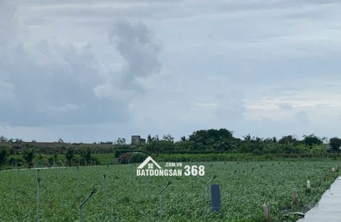 Bán gấp đất nền thổ cư Bà Lẫy Sổ sẵn công chứng ngay