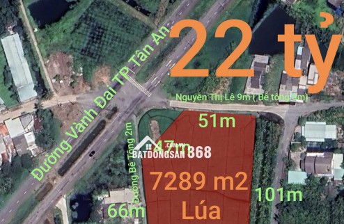 Bán gấp lô đất lúa chuyển thổ đường Vành Đai Tân An giá 22 tỷ