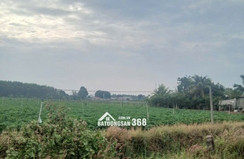 Đất mặt tiền Tân Châu Tây Ninh giá 3.5 tỷ