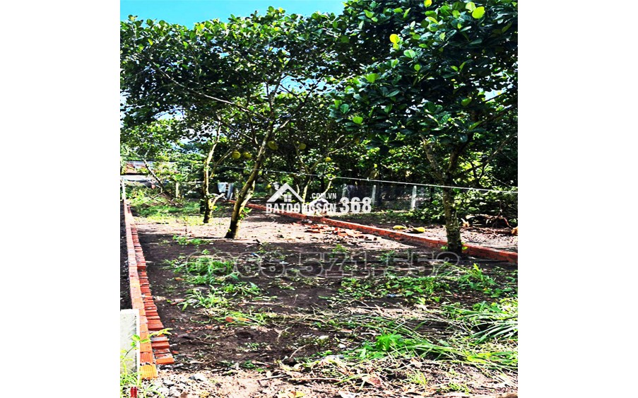 210m² THỔ CƯ, NGAY CHỢ HÀM NGHI – TP LONG KHÁNH – ĐN. CƠ HỘI X2,3 TÀI SẢN.