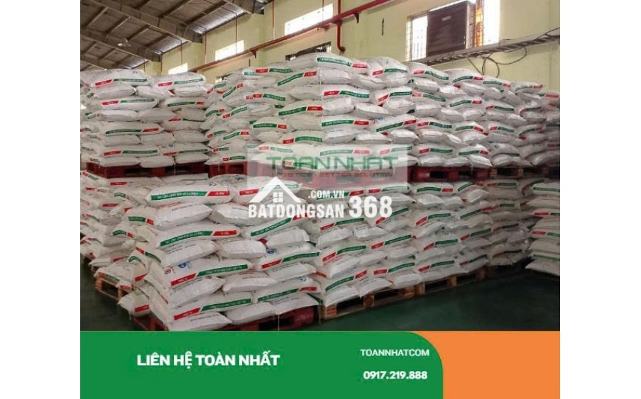 Cho thuê kho theo pallet – Giải pháp tối ưu cho doanh nghiệp vừa và nhỏ