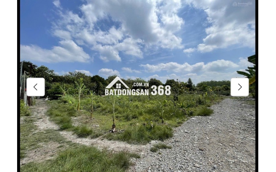 Cho thuê đất MT đường 7m rộng 1 mẫu tại ĐS 812, Xã Phú Mỹ Hưng, Củ Chi