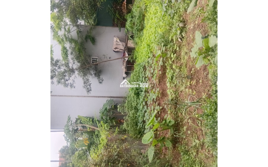 BÁN ĐẤT GẦN VIN CỔ LOA - XÃ ĐÔNG ANH - ĐÓN CẦU TỨ LIÊN - ĐƯỜNG OTO TRÁNH - TIỀM NĂNG CAO