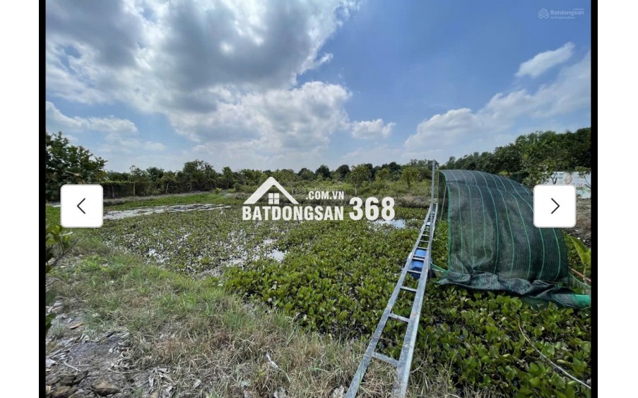 Cho thuê đất MT đường 7m rộng 1 mẫu tại ĐS 812, Xã Phú Mỹ Hưng, Củ Chi