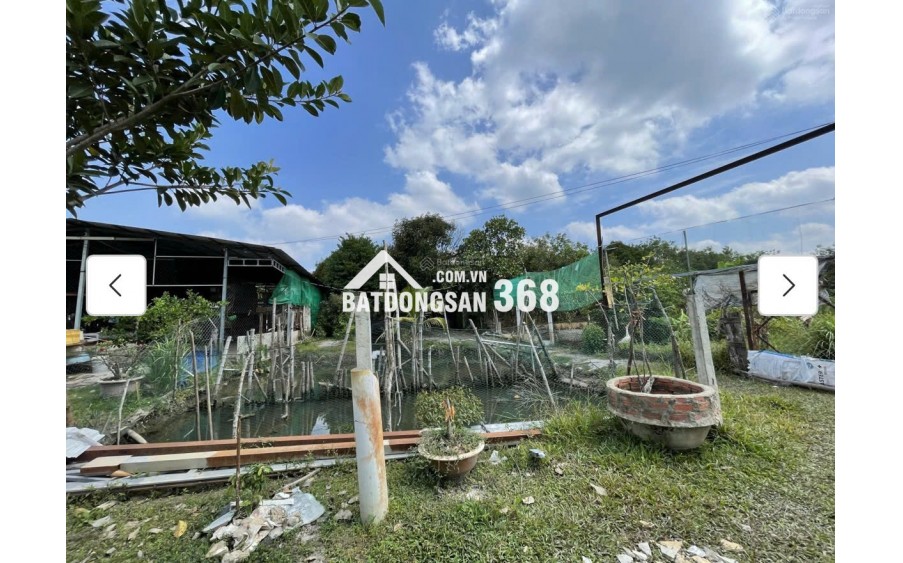 Cho thuê đất MT đường 7m rộng 1 mẫu tại ĐS 812, Xã Phú Mỹ Hưng, Củ Chi