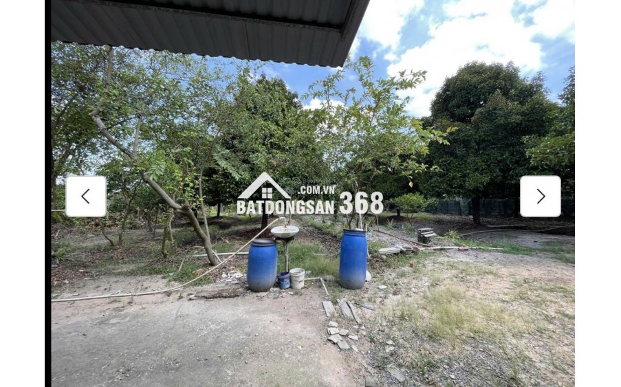 Cho thuê đất MT đường 7m rộng 1 mẫu tại ĐS 812, Xã Phú Mỹ Hưng, Củ Chi