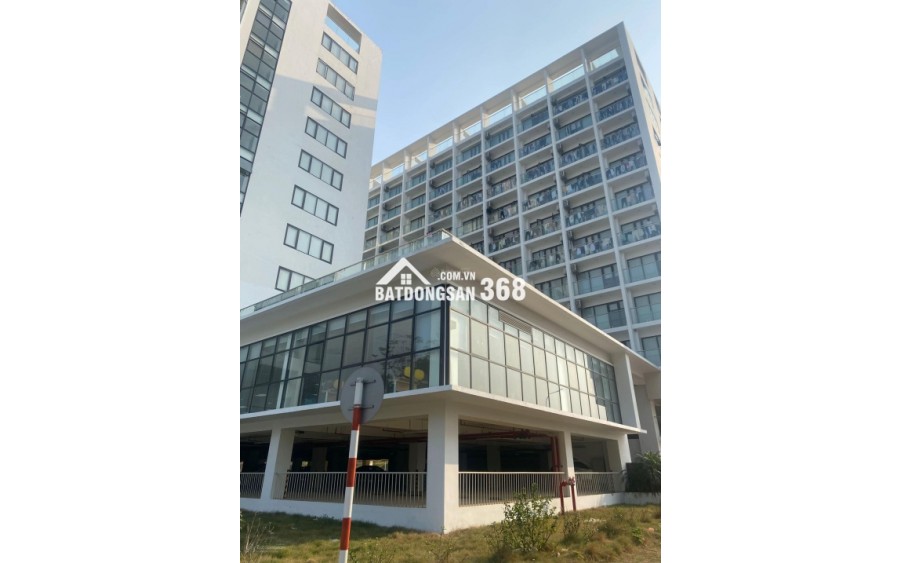 Chủ ngộp banh bán mảnh đất 128m2 rẻ hơn xung quanh 5 - 600 triệu ngay cạnh CNC Hoà Lạc