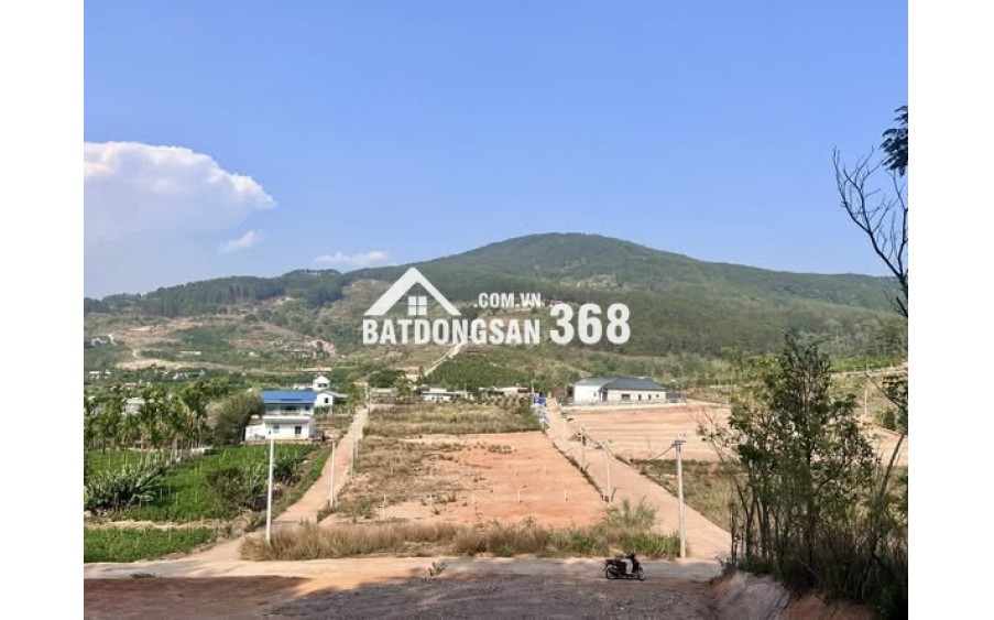 ĐẤT 2 MẶT TIỀN – THUNG LŨNG THÔNG XANH, KHÔNG GIAN SỐNG CHẠM CẢM XÚC