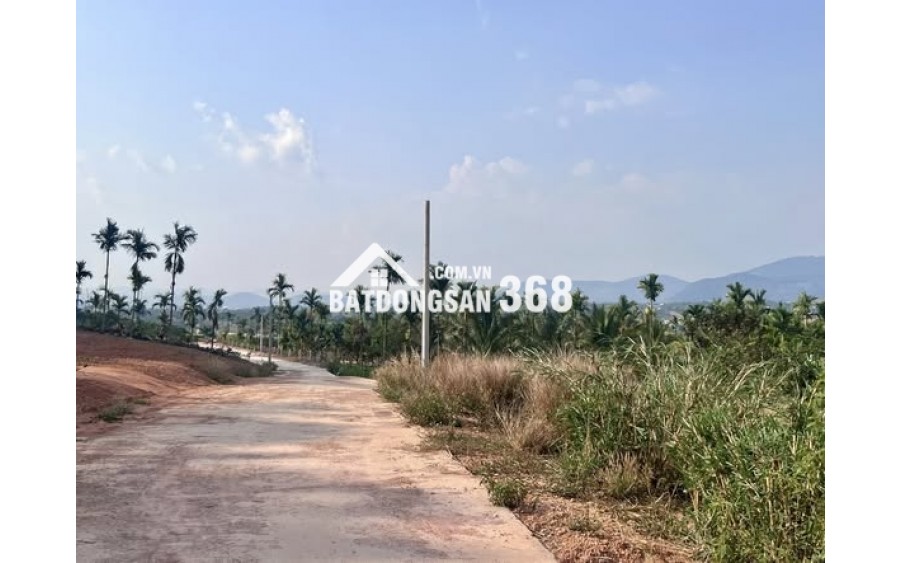 ĐẤT 2 MẶT TIỀN – THUNG LŨNG THÔNG XANH, KHÔNG GIAN SỐNG CHẠM CẢM XÚC