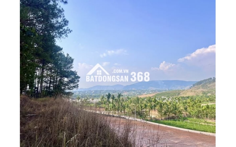 ĐẤT 2 MẶT TIỀN – THUNG LŨNG THÔNG XANH, KHÔNG GIAN SỐNG CHẠM CẢM XÚC